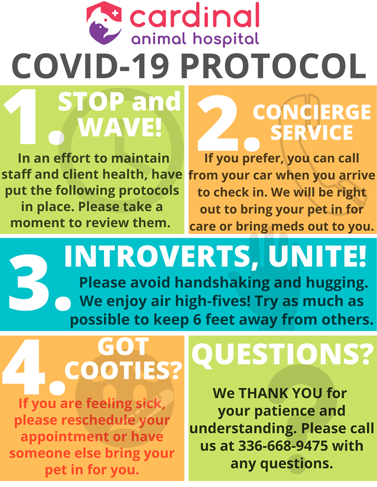 COVID-19 Protocol