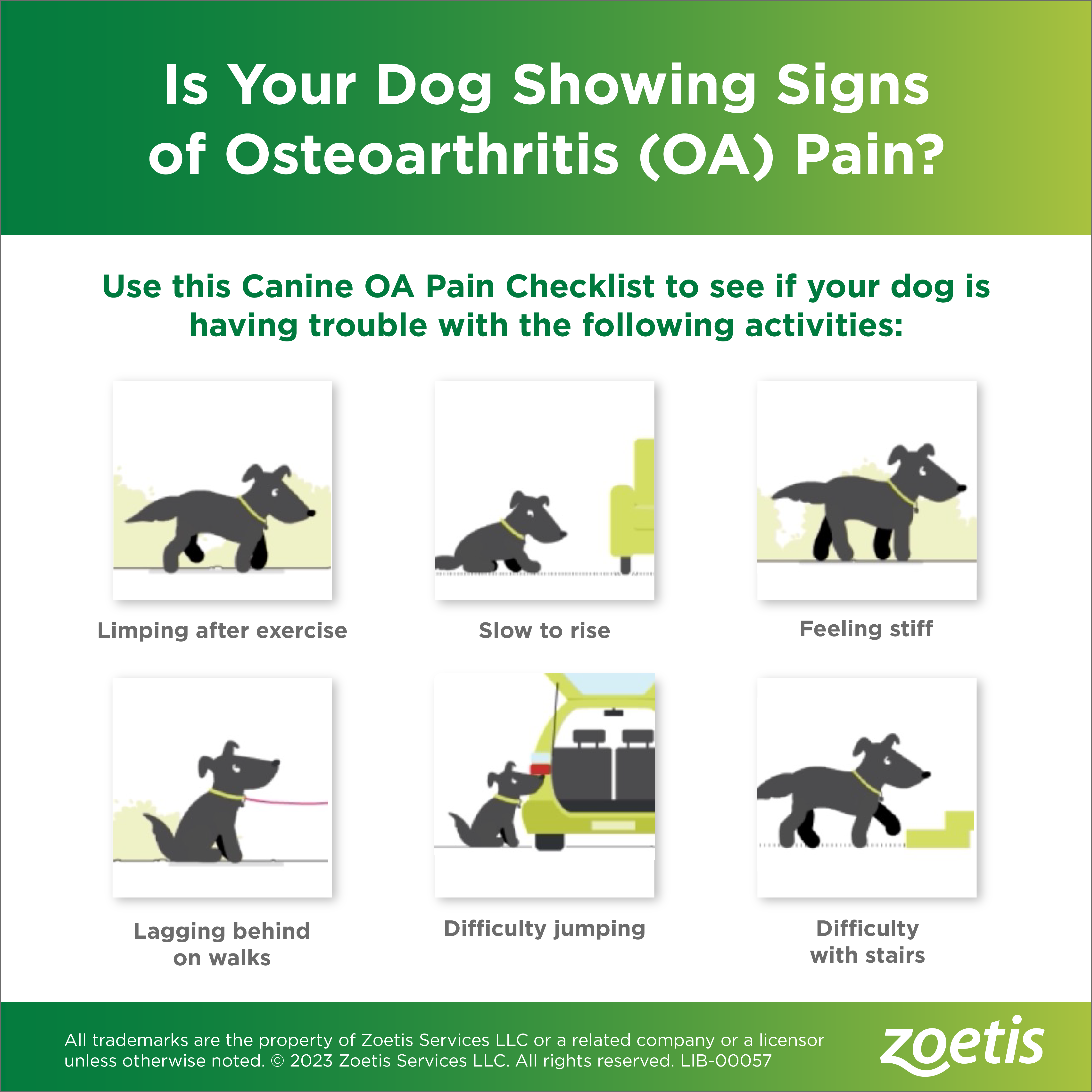 We are now offering Librela! Cardinal Animal Hospital